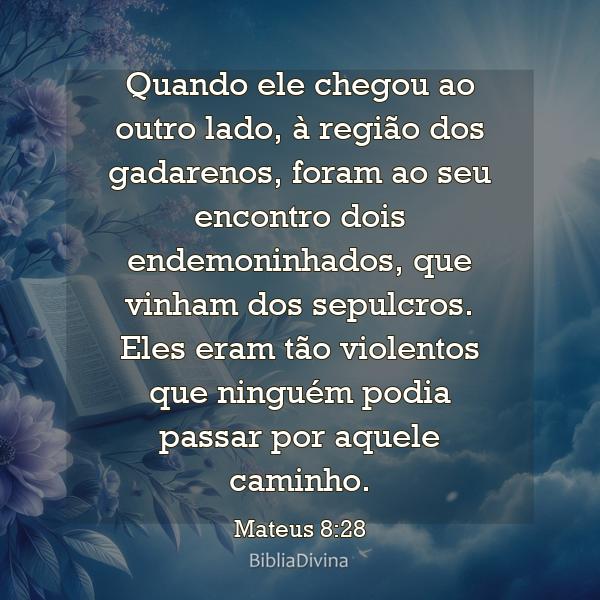 Mateus 8:28