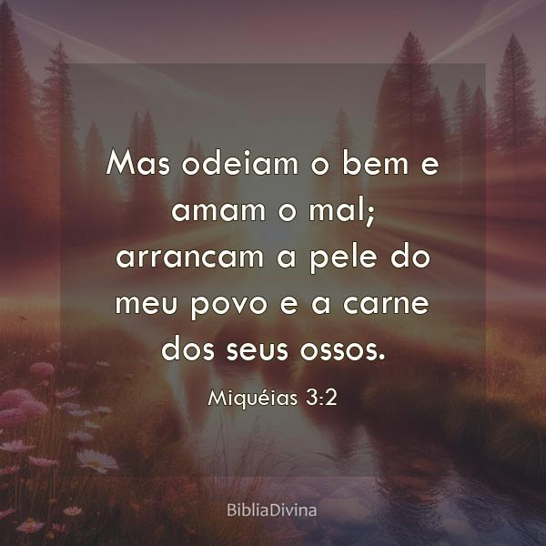 Miquéias 3:2