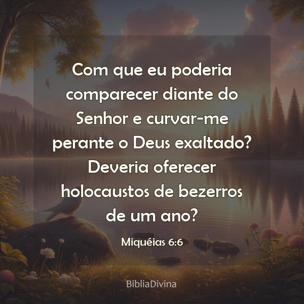 Miquéias 6:6