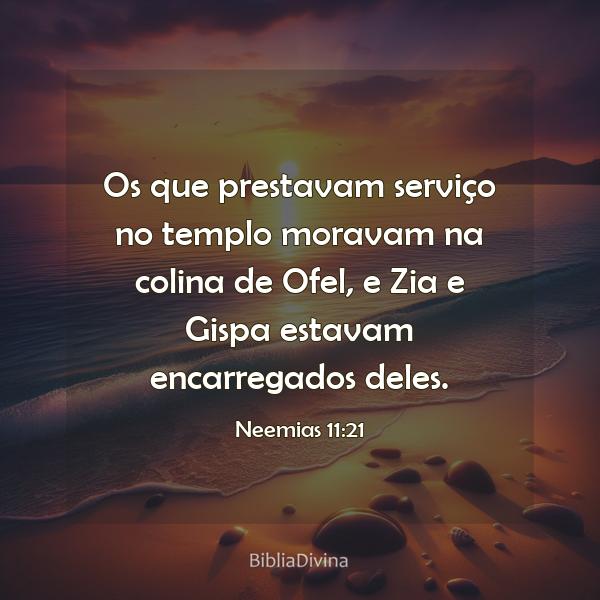 Neemias 11:21