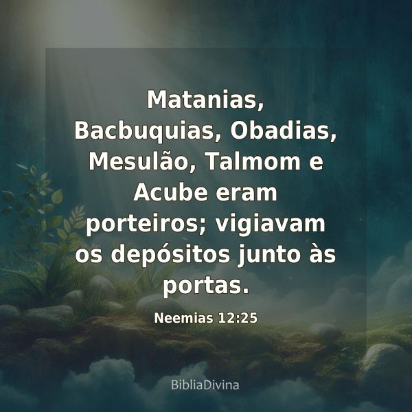 Neemias 12:25