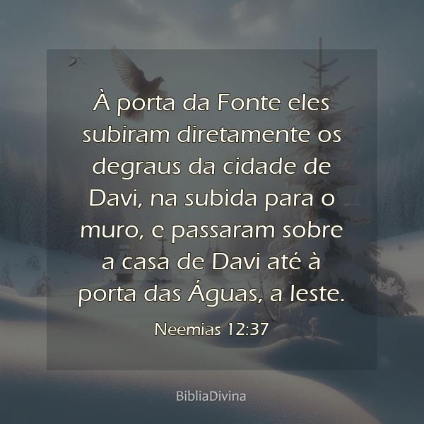 Neemias 12:37