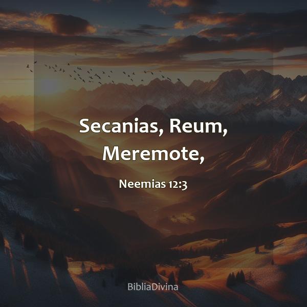 Neemias 12:3