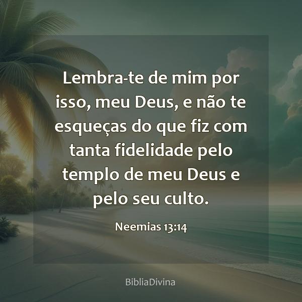 Neemias 13:14