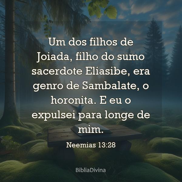 Neemias 13:28