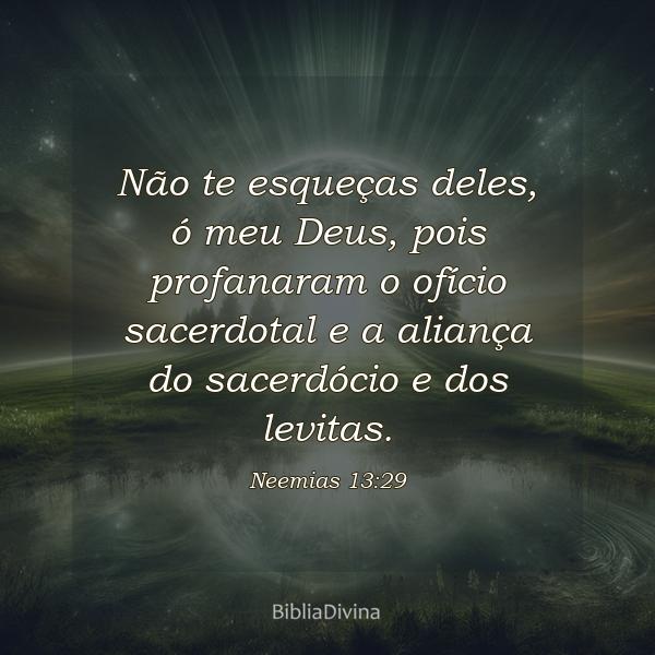 Neemias 13:29