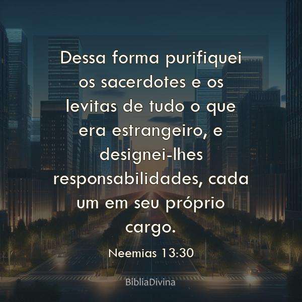 Neemias 13:30