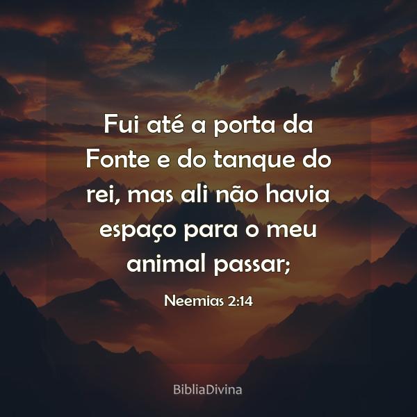 Neemias 2:14