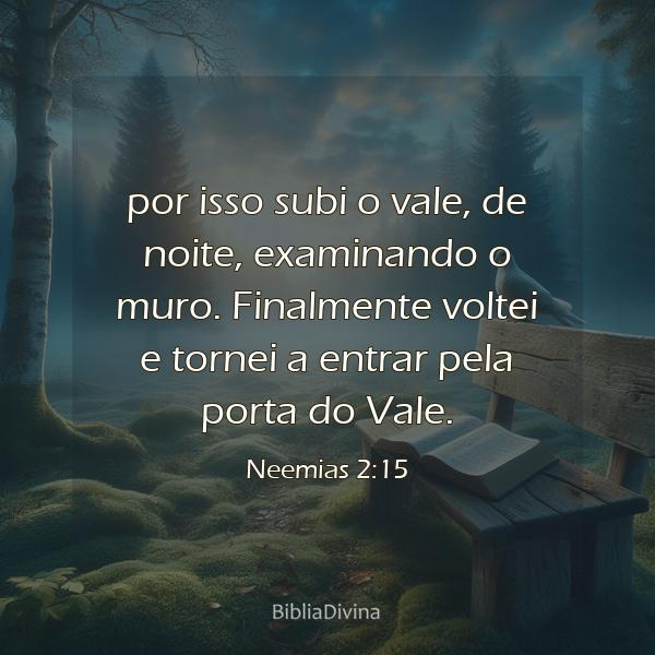 Neemias 2:15