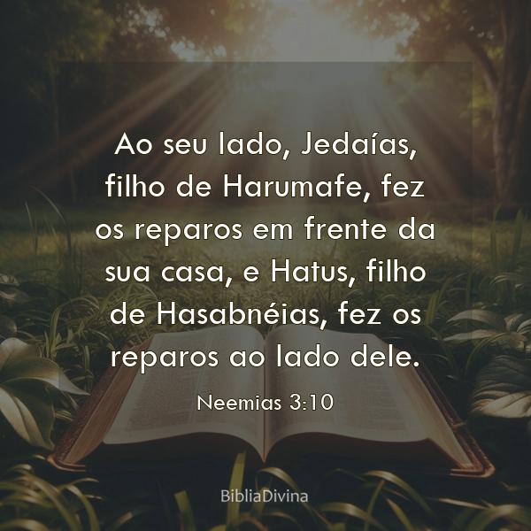 Neemias 3:10