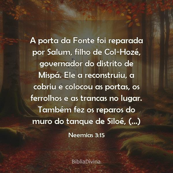 Neemias 3:15