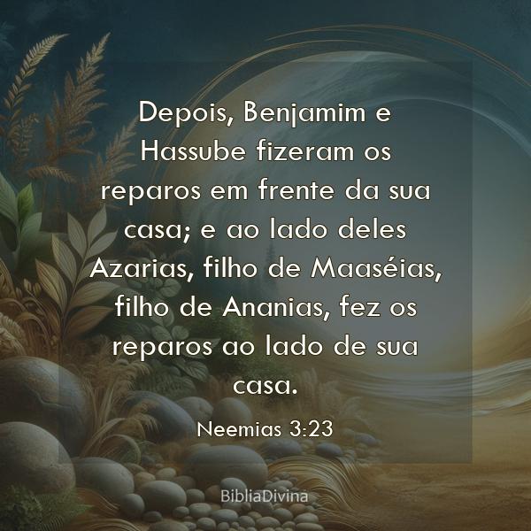 Neemias 3:23