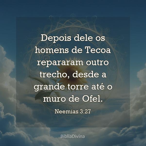 Neemias 3:27