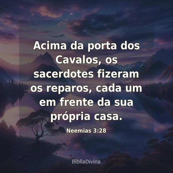 Neemias 3:28