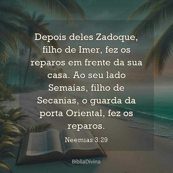 Neemias 3:29