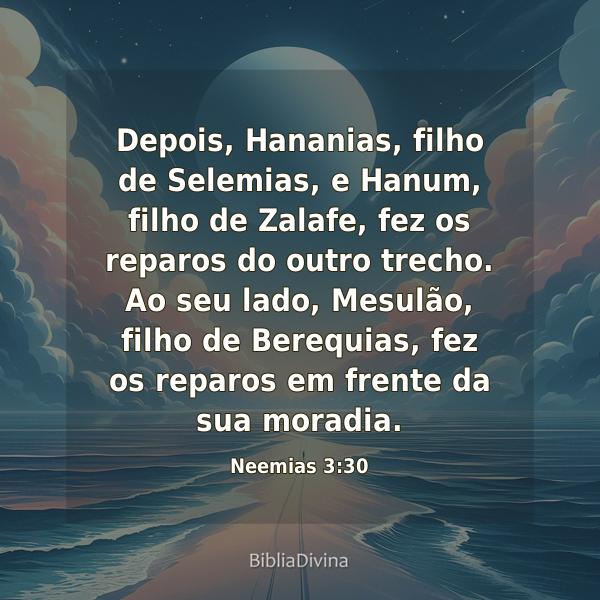 Neemias 3:30