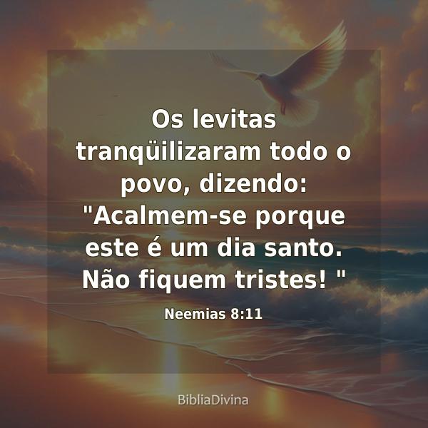 Neemias 8:11