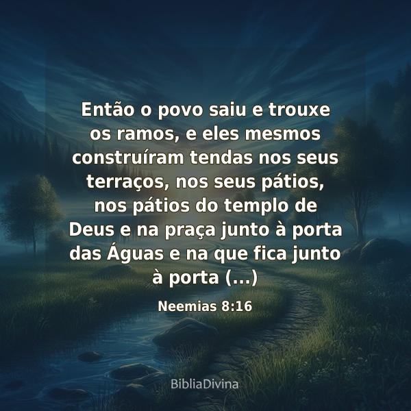 Neemias 8:16