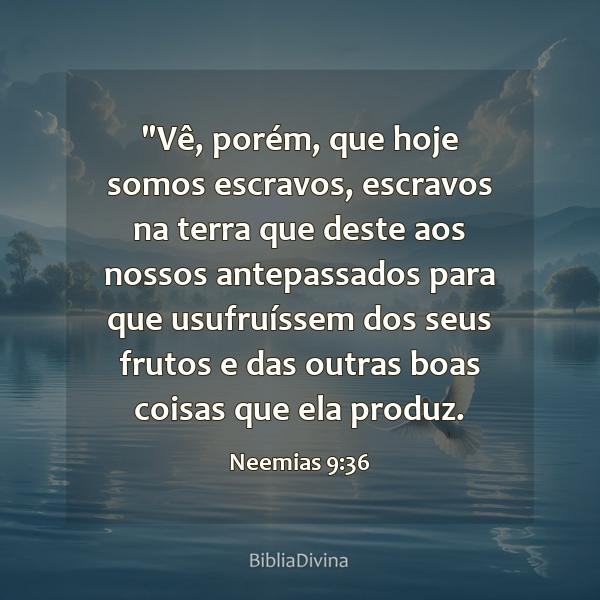 Neemias 9:36