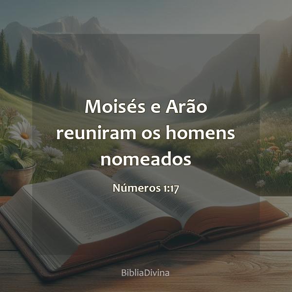 Números 1:17