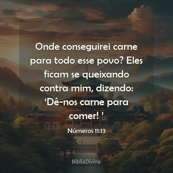 Números 11:13