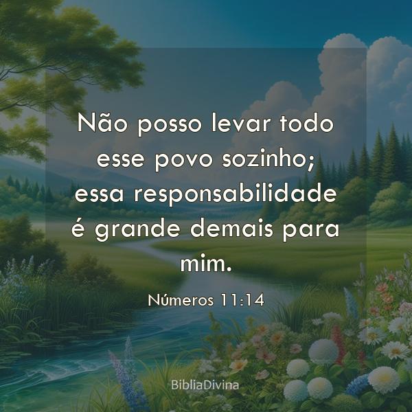 Números 11:14