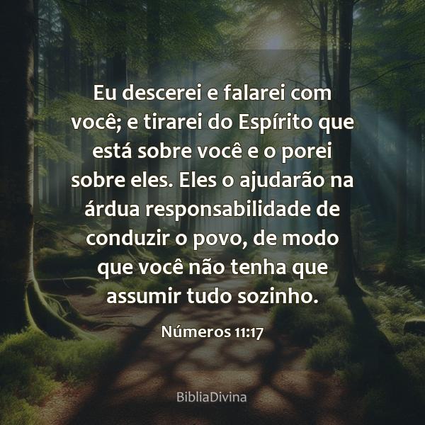 Números 11:17