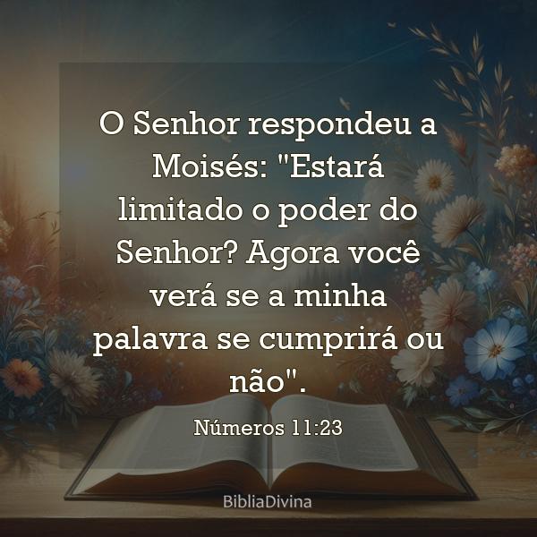 Números 11:23