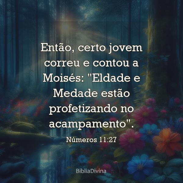 Números 11:27