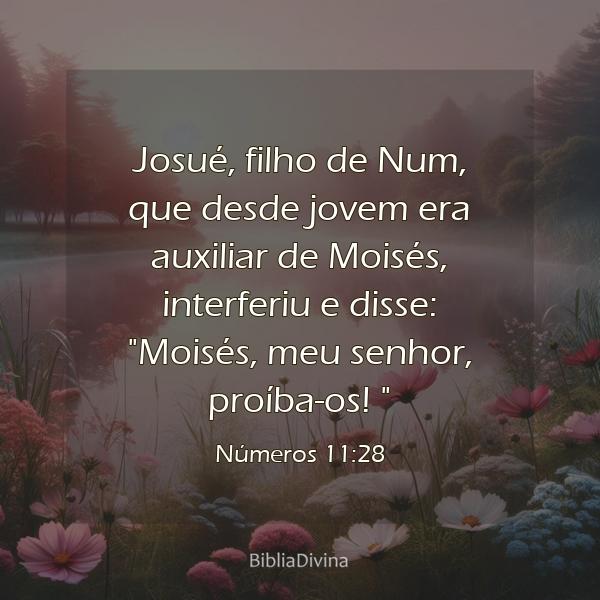 Números 11:28