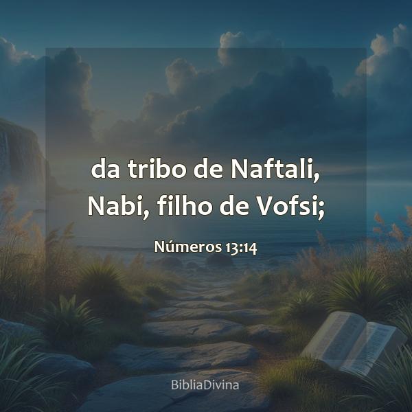 Números 13:14