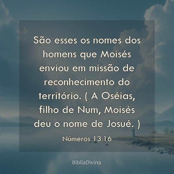 Números 13:16