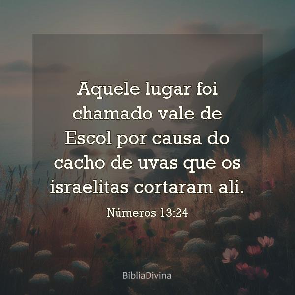 Números 13:24