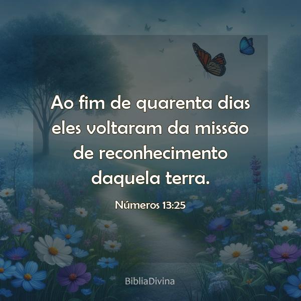 Números 13:25