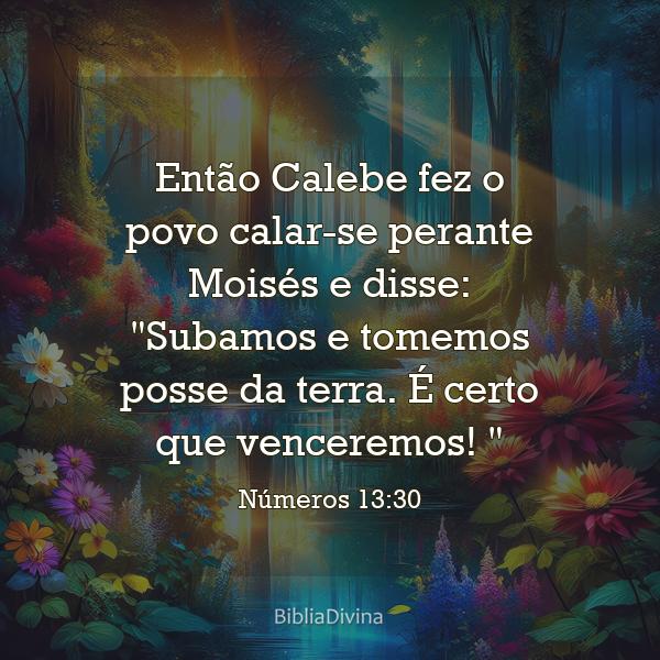 Números 13:30