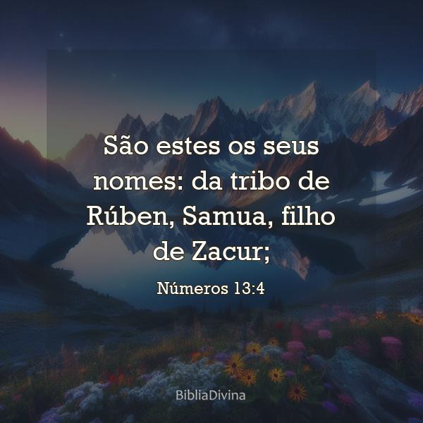 Números 13:4