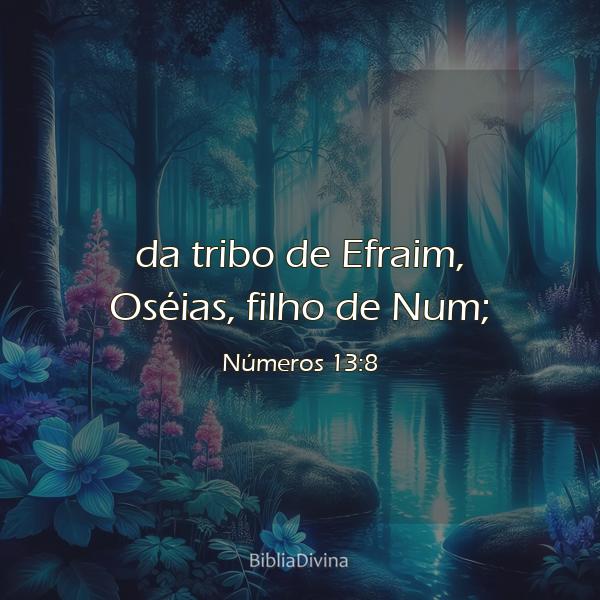 Números 13:8