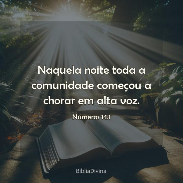 Números 14:1