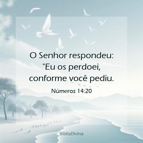 Números 14:20