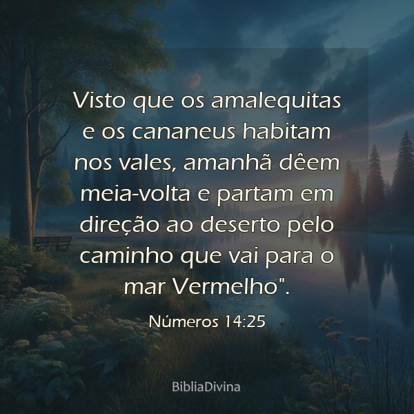 Números 14:25