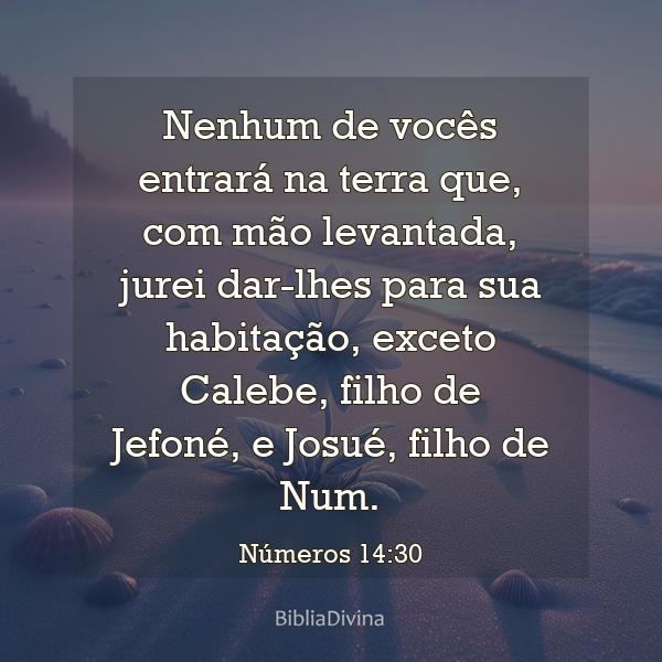 Números 14:30