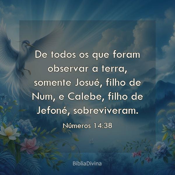 Números 14:38