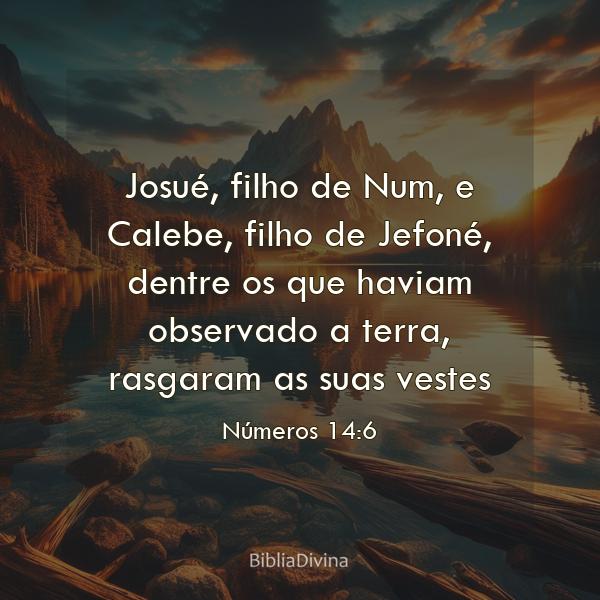 Números 14:6