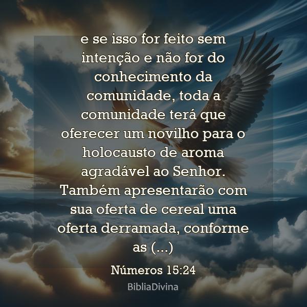 Números 15:24