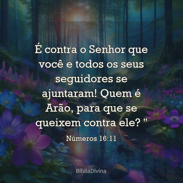 Números 16:11