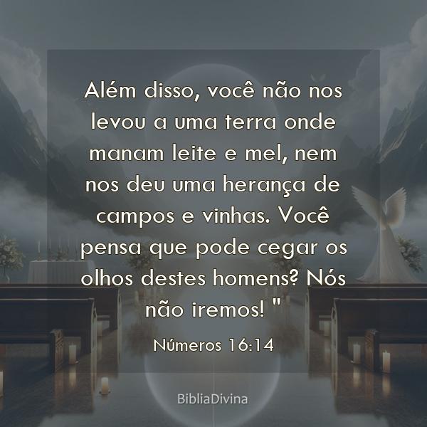 Números 16:14