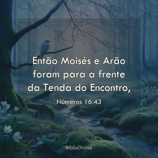 Números 16:43