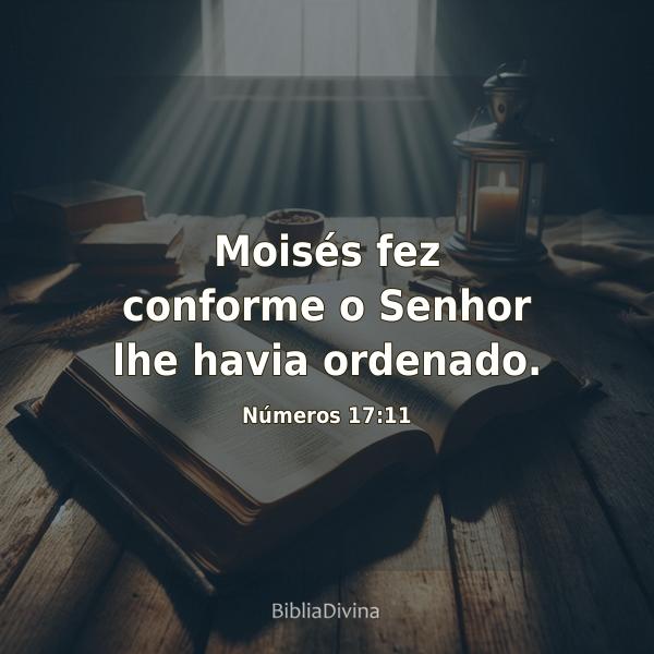 Números 17:11