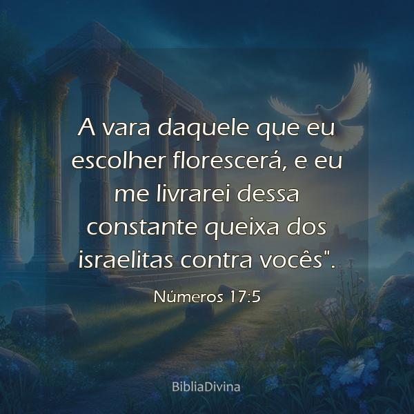 Números 17:5