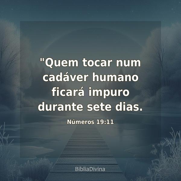 Números 19:11